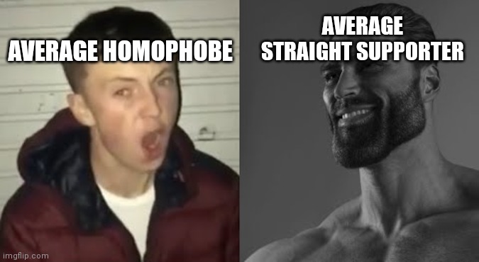 Straight supporters > homophobes | AVERAGE STRAIGHT SUPPORTER; AVERAGE HOMOPHOBE | image tagged in average enjoyer meme | made w/ Imgflip meme maker
