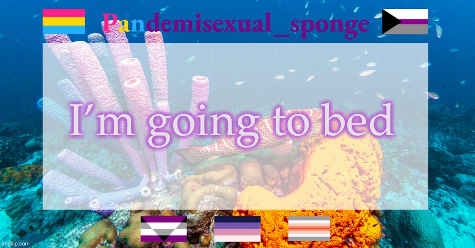 Gn | I’m going to bed | image tagged in pandemisexual_sponge temp | made w/ Imgflip meme maker