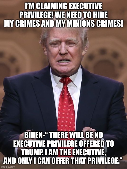 Donald Trump | I’M CLAIMING EXECUTIVE PRIVILEGE! WE NEED TO HIDE MY CRIMES AND MY MINIONS CRIMES! BIDEN-“ THERE WILL BE NO EXECUTIVE PRIVILEGE OFFERED TO TRUMP. I AM THE EXECUTIVE, AND ONLY I CAN OFFER THAT PRIVILEGE.” | image tagged in donald trump | made w/ Imgflip meme maker