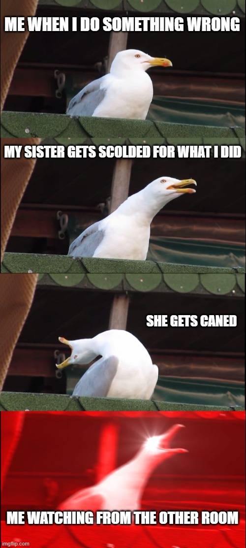 yes yes yes | ME WHEN I DO SOMETHING WRONG; MY SISTER GETS SCOLDED FOR WHAT I DID; SHE GETS CANED; ME WATCHING FROM THE OTHER ROOM | image tagged in memes,inhaling seagull | made w/ Imgflip meme maker