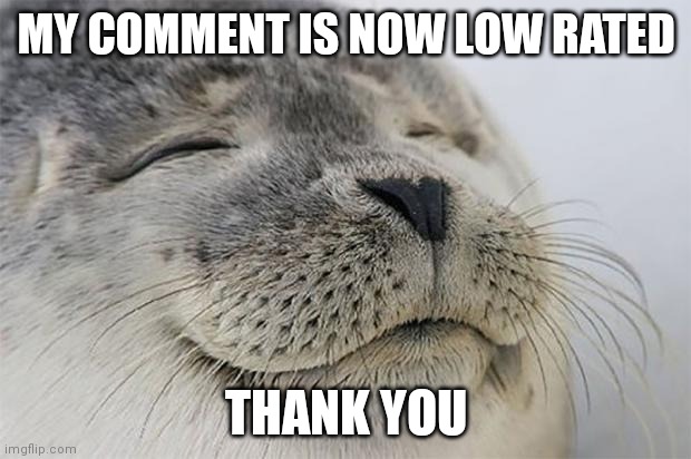 Satisfied Seal Meme | MY COMMENT IS NOW LOW RATED THANK YOU | image tagged in memes,satisfied seal | made w/ Imgflip meme maker