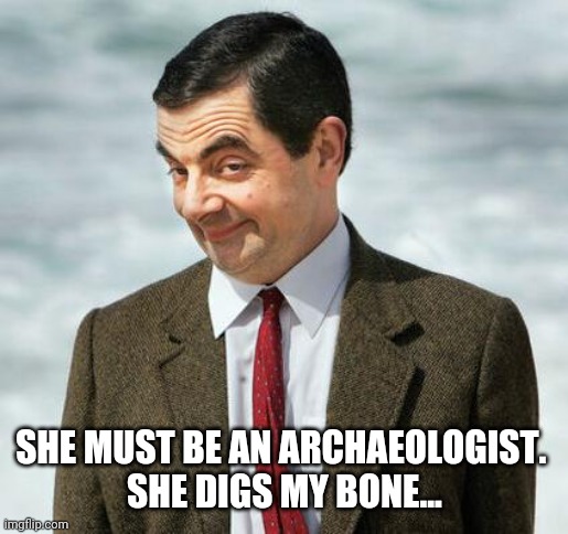 mr bean | SHE MUST BE AN ARCHAEOLOGIST. 
SHE DIGS MY BONE... | image tagged in mr bean | made w/ Imgflip meme maker