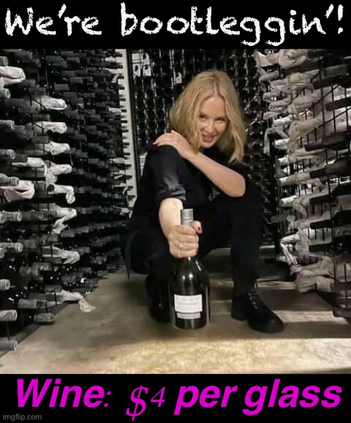 Kylie’s underground wine cellar. $4 per glass. | We’re bootleggin’! Wine: $4 per glass | image tagged in kylie wine,wine,cellar | made w/ Imgflip meme maker