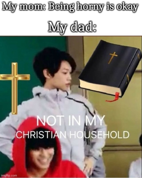 One last meme before I s l e e p | My mom: Being horny is okay; My dad: | image tagged in not in my christian household | made w/ Imgflip meme maker