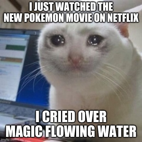 Crying cat | I JUST WATCHED THE NEW POKEMON MOVIE ON NETFLIX; I CRIED OVER MAGIC FLOWING WATER | image tagged in crying cat | made w/ Imgflip meme maker