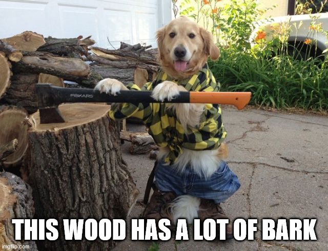 THIS WOOD HAS A LOT OF BARK | image tagged in eye roll | made w/ Imgflip meme maker