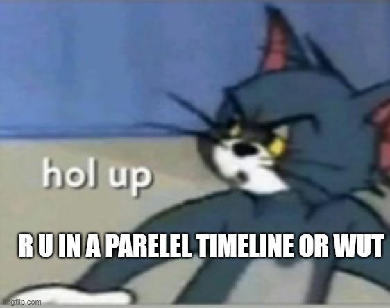 Hol up | R U IN A PARELEL TIMELINE OR WUT | image tagged in hol up | made w/ Imgflip meme maker