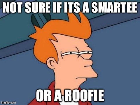 Futurama Fry Meme NOT SURE IF ITS A SMARTEE OR A ROOFIE image tagged in mem...
