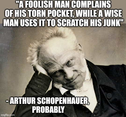 "A FOOLISH MAN COMPLAINS OF HIS TORN POCKET, WHILE A WISE MAN USES IT TO SCRATCH HIS JUNK"; - ARTHUR SCHOPENHAUER,
  PROBABLY | image tagged in funny memes | made w/ Imgflip meme maker