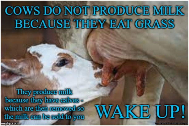 Dairy is Scary | image tagged in vegan,vegetarian,milk,cheese,eggs,butter | made w/ Imgflip meme maker