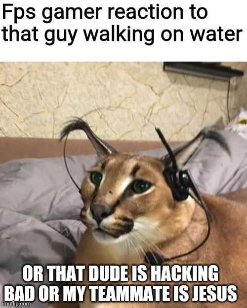 We can't overlook that possibility. | Fps gamer reaction to that guy walking on water; OR THAT DUDE IS HACKING BAD OR MY TEAMMATE IS JESUS | image tagged in flops | made w/ Imgflip meme maker