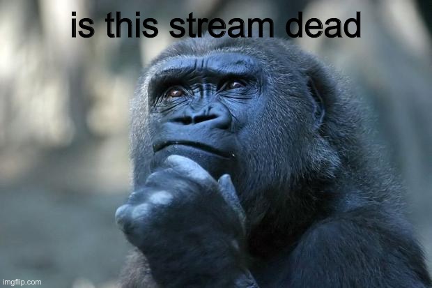Deep Thoughts | is this stream dead | image tagged in deep thoughts | made w/ Imgflip meme maker