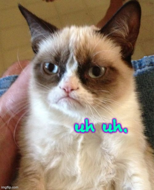 Grumpy Cat Meme | uh uh. | image tagged in memes,grumpy cat | made w/ Imgflip meme maker