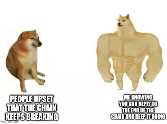 buff doge vs cheems reversed |  ME KNOWING YOU CAN REPLY TO THE END OF THE CHAIN AND KEEP IT GOING; PEOPLE UPSET THAT THE CHAIN KEEPS BREAKING | image tagged in buff doge vs cheems reversed | made w/ Imgflip meme maker