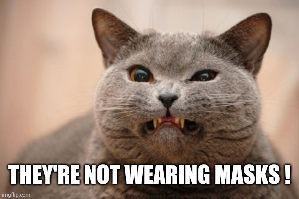 Horrible taste | THEY'RE NOT WEARING MASKS ! | image tagged in horrible taste | made w/ Imgflip meme maker