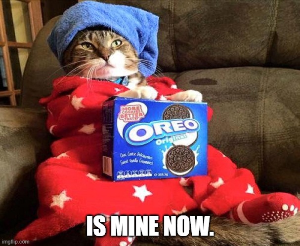 IS MINE NOW. | made w/ Imgflip meme maker