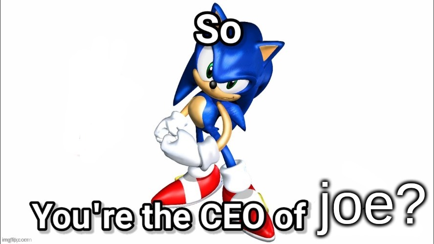 Who's Joe? | joe? | image tagged in so you're the ceo of | made w/ Imgflip meme maker