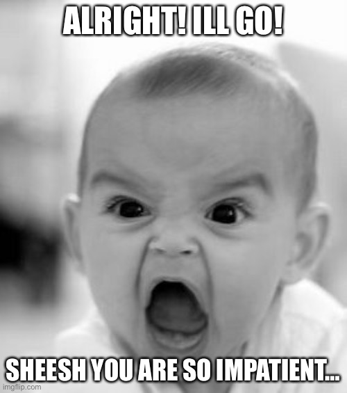 Angry Baby Meme | ALRIGHT! ILL GO! SHEESH YOU ARE SO IMPATIENT… | image tagged in memes,angry baby | made w/ Imgflip meme maker