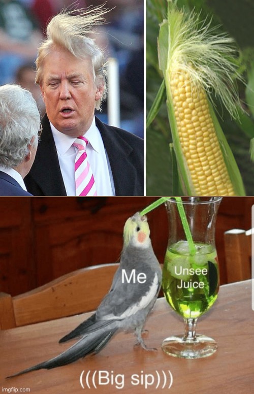 Unsee juice | image tagged in unsee juice,donald trump | made w/ Imgflip meme maker