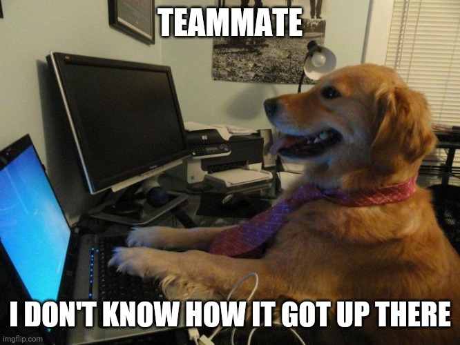 Dog computer | TEAMMATE I DON'T KNOW HOW IT GOT UP THERE | image tagged in dog computer | made w/ Imgflip meme maker
