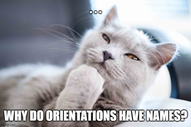 It's time to have some deep thoughts | . . . WHY DO ORIENTATIONS HAVE NAMES? | image tagged in thinking cat,deep thoughts,memes,lgbtq,funny | made w/ Imgflip meme maker