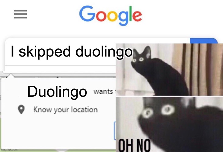 Wants to know your location | I skipped duolingo; Duolingo | image tagged in wants to know your location,oh no cat,duolingo | made w/ Imgflip meme maker