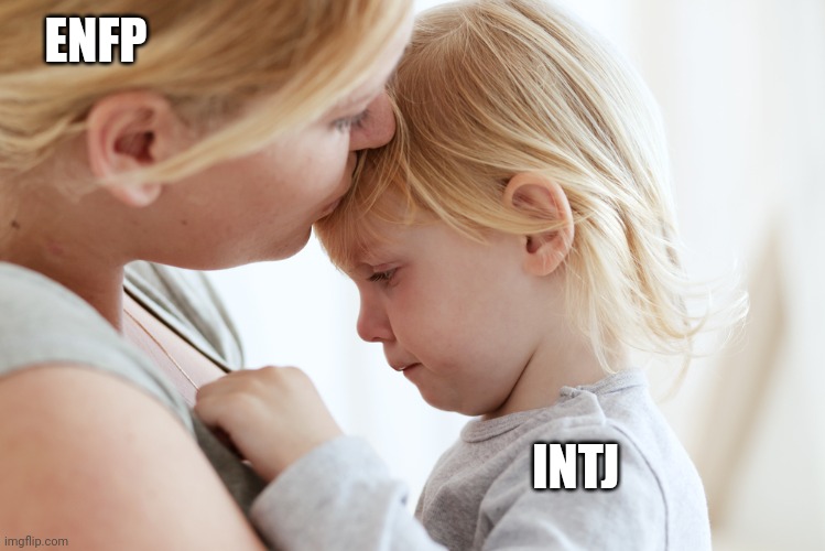 INTJ ENFP | ENFP; INTJ | image tagged in mbti | made w/ Imgflip meme maker