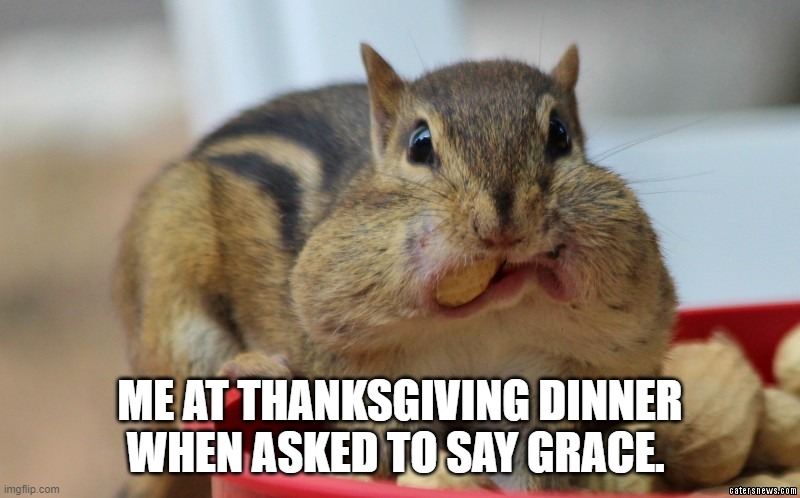 mouth full | ME AT THANKSGIVING DINNER WHEN ASKED TO SAY GRACE. | image tagged in squirrel,mouth full,thankgiving,grace | made w/ Imgflip meme maker