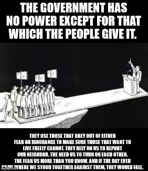 THE GOVERNMENT HAS NO POWER EXCEPT FOR THAT WHICH THE PEOPLE GIVE IT. THEY USE THOSE THAT OBEY OUT OF EITHER FEAR OR IGNORANCE TO MAKE SURE THOSE THAT WANT TO LIVE FREELY CANNOT. THEY RELY ON US TO REPORT OUR NEIGHBOR. THE NEED US TO TURN ON EACH OTHER. THE FEAR US MORE THAN YOU KNOW. AND IF THE DAY EVER CAME WHERE WE STOOD TOGETHER AGAINST THEM, THEY WOULD FALL. | image tagged in power of the people | made w/ Imgflip meme maker