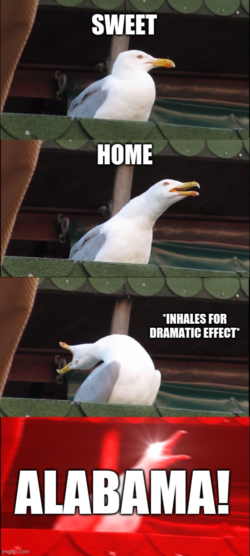ALABAMA BABY | SWEET; HOME; *INHALES FOR DRAMATIC EFFECT*; ALABAMA! | image tagged in memes,inhaling seagull | made w/ Imgflip meme maker