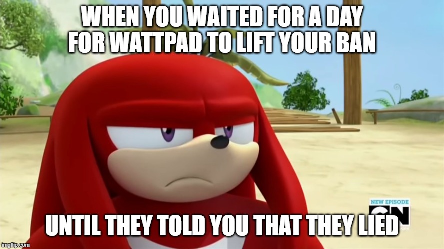 Wattpad Lied | WHEN YOU WAITED FOR A DAY FOR WATTPAD TO LIFT YOUR BAN; UNTIL THEY TOLD YOU THAT THEY LIED | image tagged in knuckles is not impressed - sonic boom | made w/ Imgflip meme maker