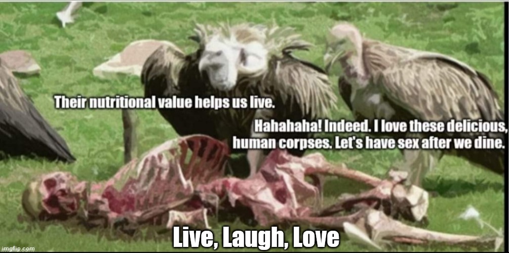 The Circle of Life | Live, Laugh, Love | image tagged in funny | made w/ Imgflip meme maker