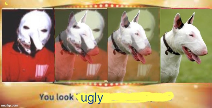 i have no explanation | ugly | image tagged in slipknot,bull terier,the ugliest dog to walk this planet | made w/ Imgflip meme maker
