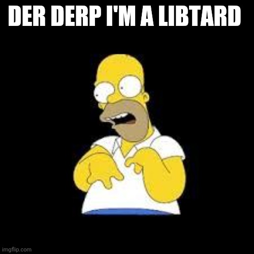 Look Marge | DER DERP I'M A LIBTARD | image tagged in look marge | made w/ Imgflip meme maker