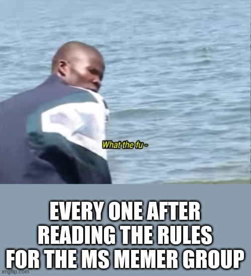 What the fu- | EVERY ONE AFTER READING THE RULES FOR THE MS MEMER GROUP | image tagged in what the fu- | made w/ Imgflip meme maker