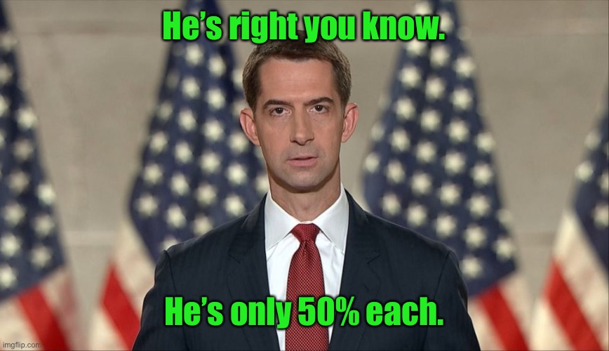 senator tom cotton slavery was necessary evil | He’s right you know. He’s only 50% each. | image tagged in senator tom cotton slavery was necessary evil | made w/ Imgflip meme maker