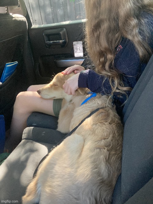 That’s a photo of my sister and my dog | made w/ Imgflip meme maker