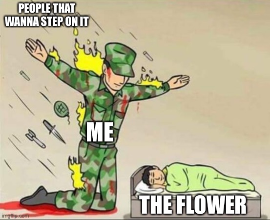 Soldier protecting sleeping child | PEOPLE THAT WANNA STEP ON IT ME THE FLOWER | image tagged in soldier protecting sleeping child | made w/ Imgflip meme maker