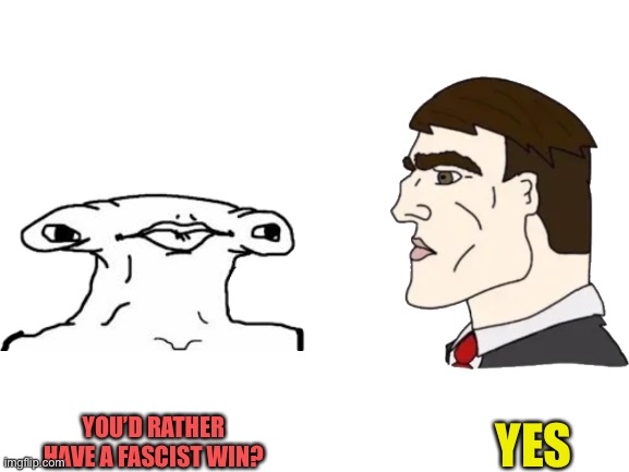 Blank White Template | YOU’D RATHER HAVE A FASCIST WIN? YES | image tagged in blank white template | made w/ Imgflip meme maker