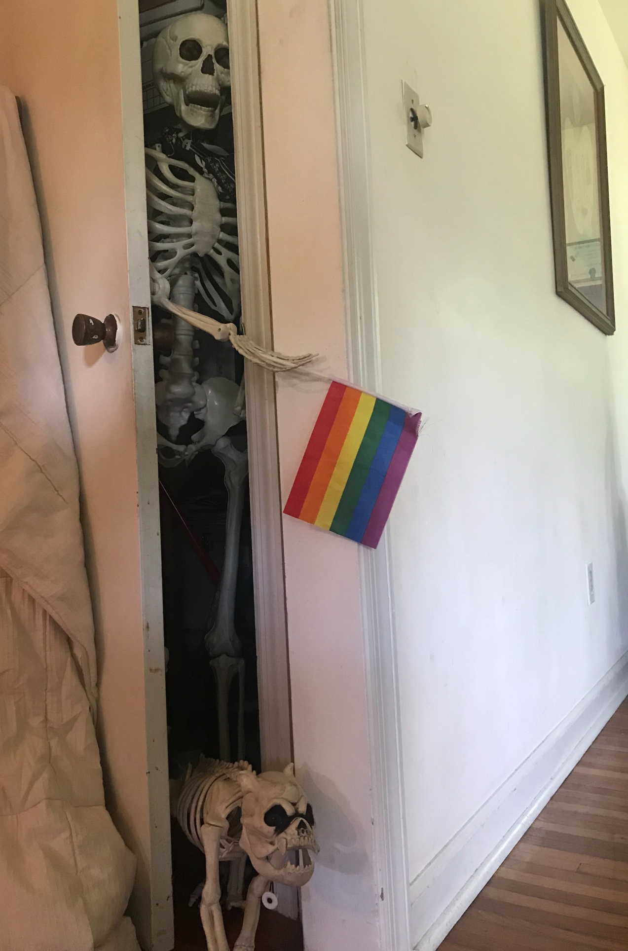 Gay skeleton Blank Meme Template