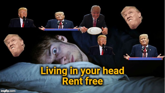 Extreme TDS | Living in your head
Rent free | image tagged in extreme tds | made w/ Imgflip meme maker