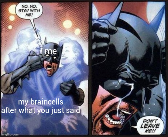 Batman don't leave me | me; my braincells after what you just said | image tagged in batman don't leave me | made w/ Imgflip meme maker