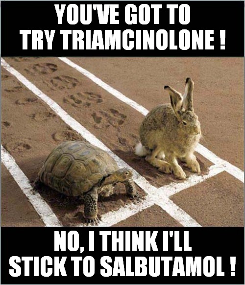 Just Another Performance Enhanced Race ! | YOU'VE GOT TO TRY TRIAMCINOLONE ! NO, I THINK I'LL STICK TO SALBUTAMOL ! | image tagged in fun,tortoise,hare,performance enhancing drugs | made w/ Imgflip meme maker
