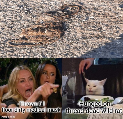 -What is this? | -Thrown till floor dirty medical mask; -Hunged on thread dead wild rat | image tagged in memes,woman yelling at cat,rats,threat,i diagnose you with dead,facemask | made w/ Imgflip meme maker