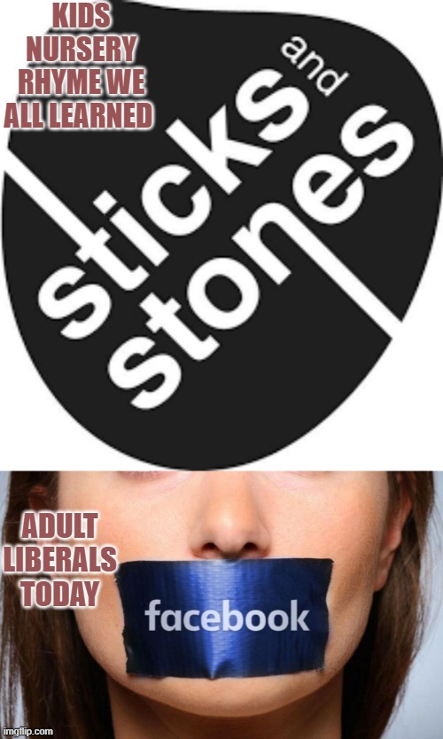 Sticks and Stones May Break My Bones, But Words Will Never Hurt Me - Liberals Ban Speech | KIDS NURSERY RHYME WE ALL LEARNED; ADULT LIBERALS TODAY | image tagged in political meme,liberal bans,cancel culture,facebook jail,banning free speech,liberal intolerance | made w/ Imgflip meme maker