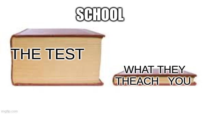 Big book small book | SCHOOL; WHAT THEY  THEACH   YOU; THE TEST | image tagged in big book small book | made w/ Imgflip meme maker