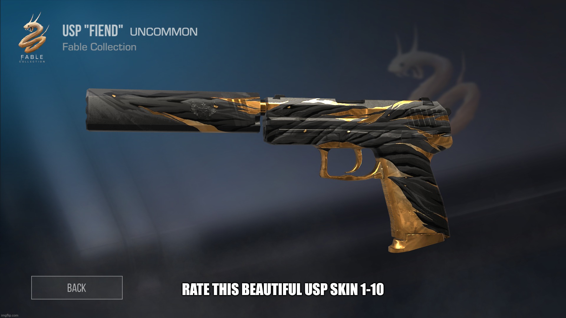 RATE THIS BEAUTIFUL USP SKIN 1-10 | made w/ Imgflip meme maker