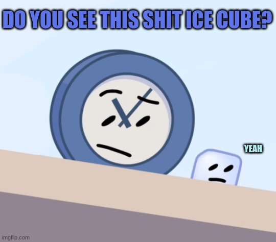 do you see this shit ice cube? | image tagged in do you see this shit ice cube | made w/ Imgflip meme maker