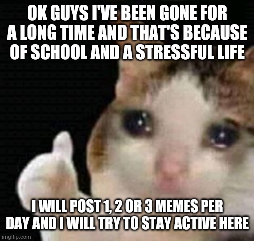 Sorry | OK GUYS I'VE BEEN GONE FOR A LONG TIME AND THAT'S BECAUSE OF SCHOOL AND A STRESSFUL LIFE; I WILL POST 1, 2 OR 3 MEMES PER DAY AND I WILL TRY TO STAY ACTIVE HERE | image tagged in sad thumbs up cat | made w/ Imgflip meme maker
