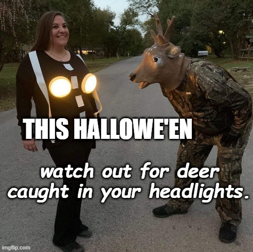 Deer in Headlights | THIS HALLOWE'EN; watch out for deer caught in your headlights. | image tagged in halloween,humor,safety first | made w/ Imgflip meme maker